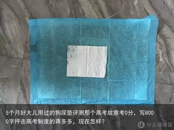 5个月好大儿用过的狗尿垫评测那个高考故意考0分，写8000字抨击高考制度的蒋多多，现在怎样？
