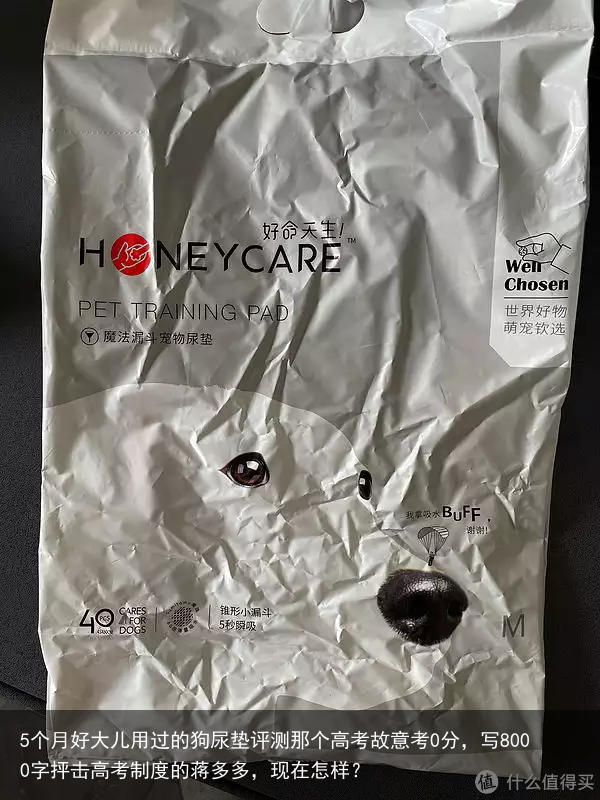 5个月好大儿用过的狗尿垫评测那个高考故意考0分，写8000字抨击高考制度的蒋多多，现在怎样？