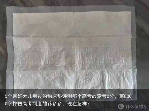 5个月好大儿用过的狗尿垫评测那个高考故意考0分，写8000字抨击高考制度的蒋多多，现在怎样？