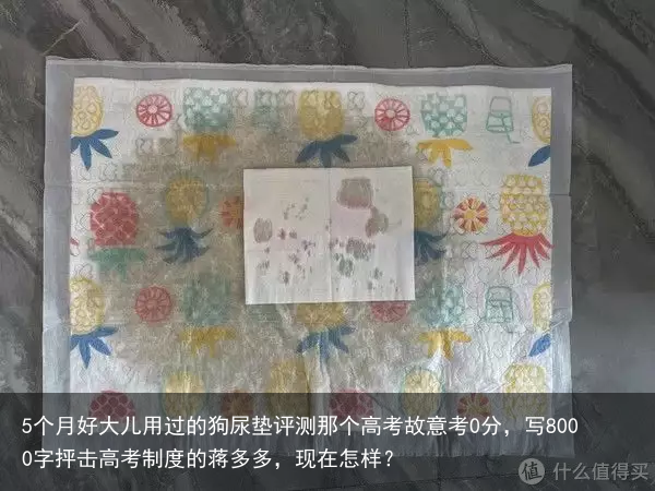 5个月好大儿用过的狗尿垫评测那个高考故意考0分，写8000字抨击高考制度的蒋多多，现在怎样？