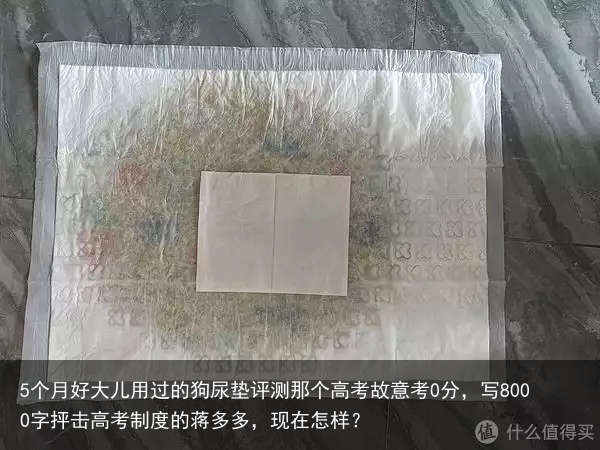 5个月好大儿用过的狗尿垫评测那个高考故意考0分，写8000字抨击高考制度的蒋多多，现在怎样？