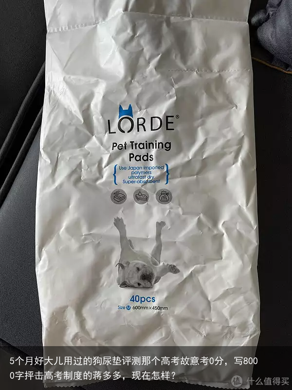 5个月好大儿用过的狗尿垫评测那个高考故意考0分，写8000字抨击高考制度的蒋多多，现在怎样？