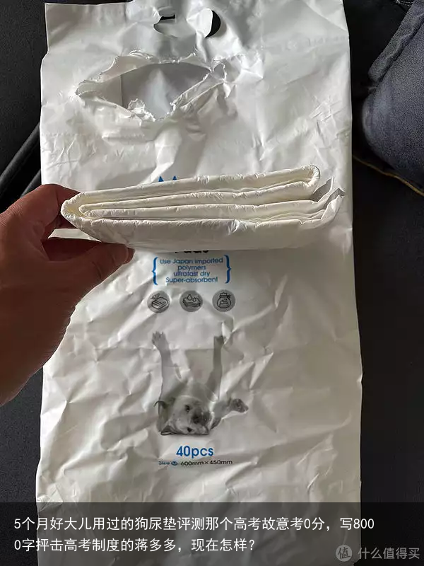 5个月好大儿用过的狗尿垫评测那个高考故意考0分，写8000字抨击高考制度的蒋多多，现在怎样？