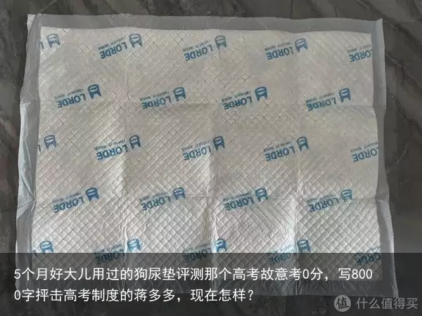 5个月好大儿用过的狗尿垫评测那个高考故意考0分，写8000字抨击高考制度的蒋多多，现在怎样？