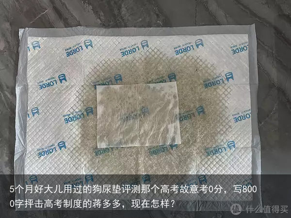 5个月好大儿用过的狗尿垫评测那个高考故意考0分，写8000字抨击高考制度的蒋多多，现在怎样？