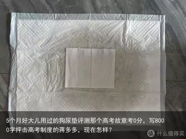 5个月好大儿用过的狗尿垫评测那个高考故意考0分，写8000字抨击高考制度的蒋多多，现在怎样？