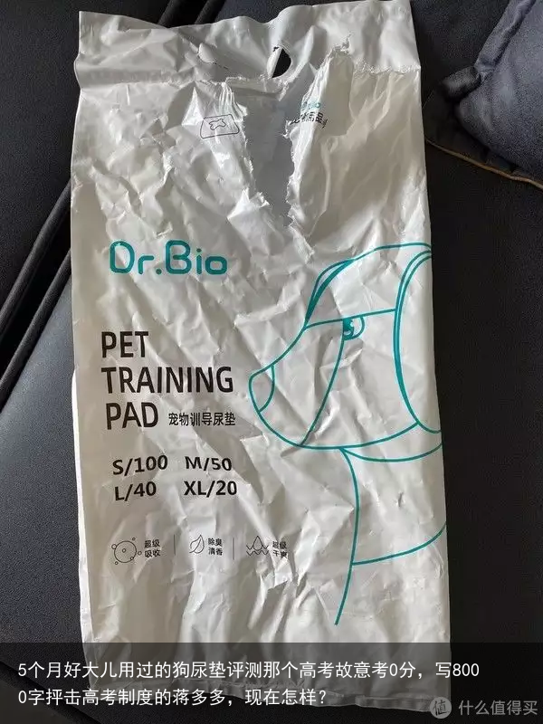 5个月好大儿用过的狗尿垫评测那个高考故意考0分，写8000字抨击高考制度的蒋多多，现在怎样？