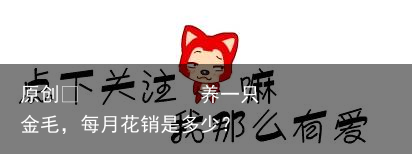养一只金毛，每月花销是多少？