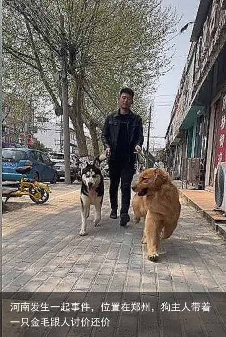 河南发生一起事件，位置在郑州，狗主人带着一只金毛跟人讨价还价