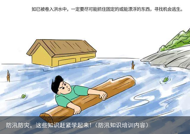 防汛防灾，这些知识赶紧学起来!（防汛知识培训内容）