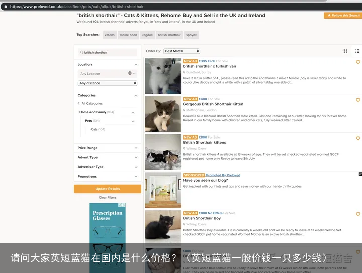 请问大家英短蓝猫在国内是什么价格？（英短蓝猫一般价钱一只多少钱）