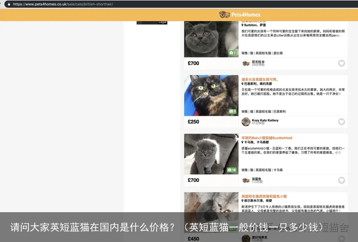 请问大家英短蓝猫在国内是什么价格？（英短蓝猫一般价钱一只多少钱）