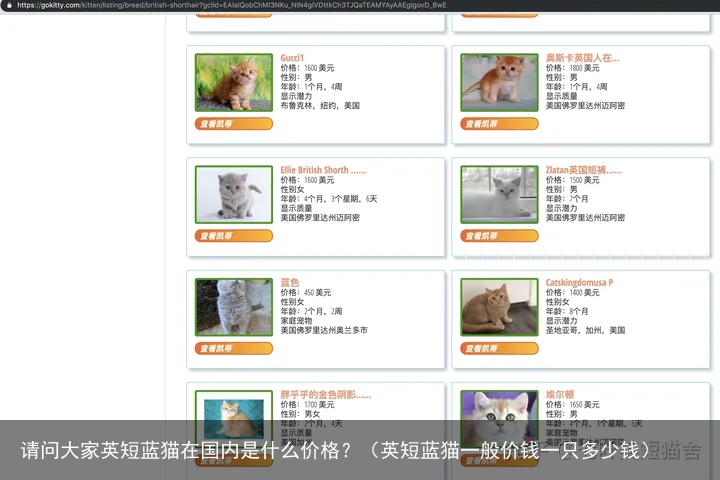 请问大家英短蓝猫在国内是什么价格？（英短蓝猫一般价钱一只多少钱）
