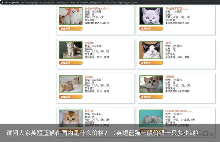 请问大家英短蓝猫在国内是什么价格？（英短蓝猫一般价钱一只多少钱）