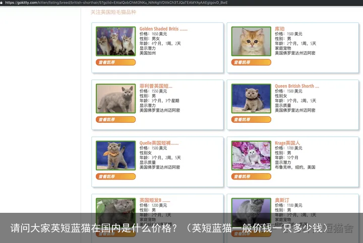 请问大家英短蓝猫在国内是什么价格？（英短蓝猫一般价钱一只多少钱）