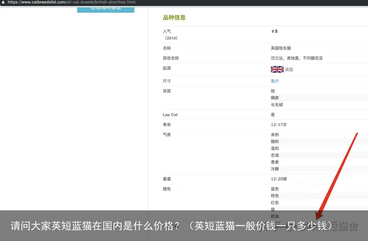 请问大家英短蓝猫在国内是什么价格？（英短蓝猫一般价钱一只多少钱）
