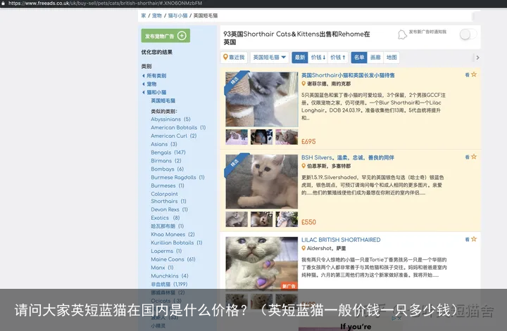 请问大家英短蓝猫在国内是什么价格？（英短蓝猫一般价钱一只多少钱）