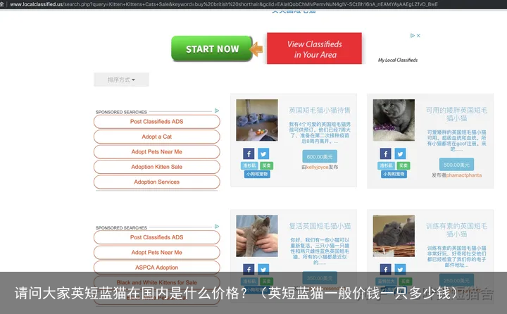 请问大家英短蓝猫在国内是什么价格？（英短蓝猫一般价钱一只多少钱）