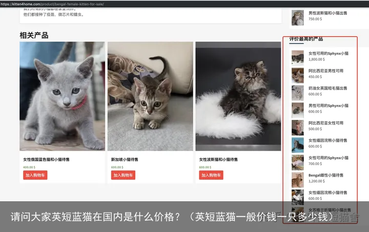 请问大家英短蓝猫在国内是什么价格？（英短蓝猫一般价钱一只多少钱）