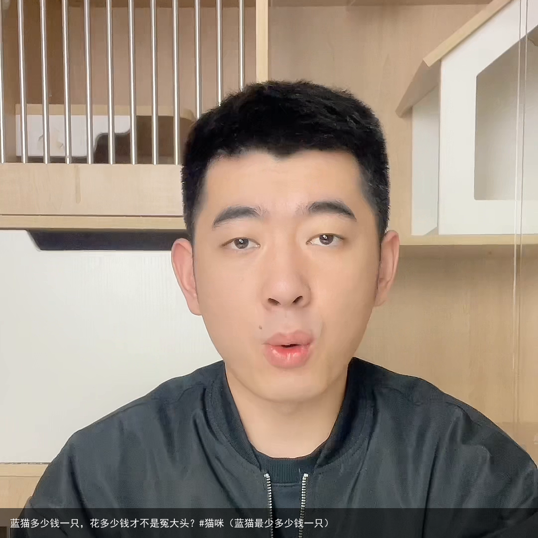 蓝猫多少钱一只，花多少钱才不是冤大头？#猫咪（蓝猫最少多少钱一只）