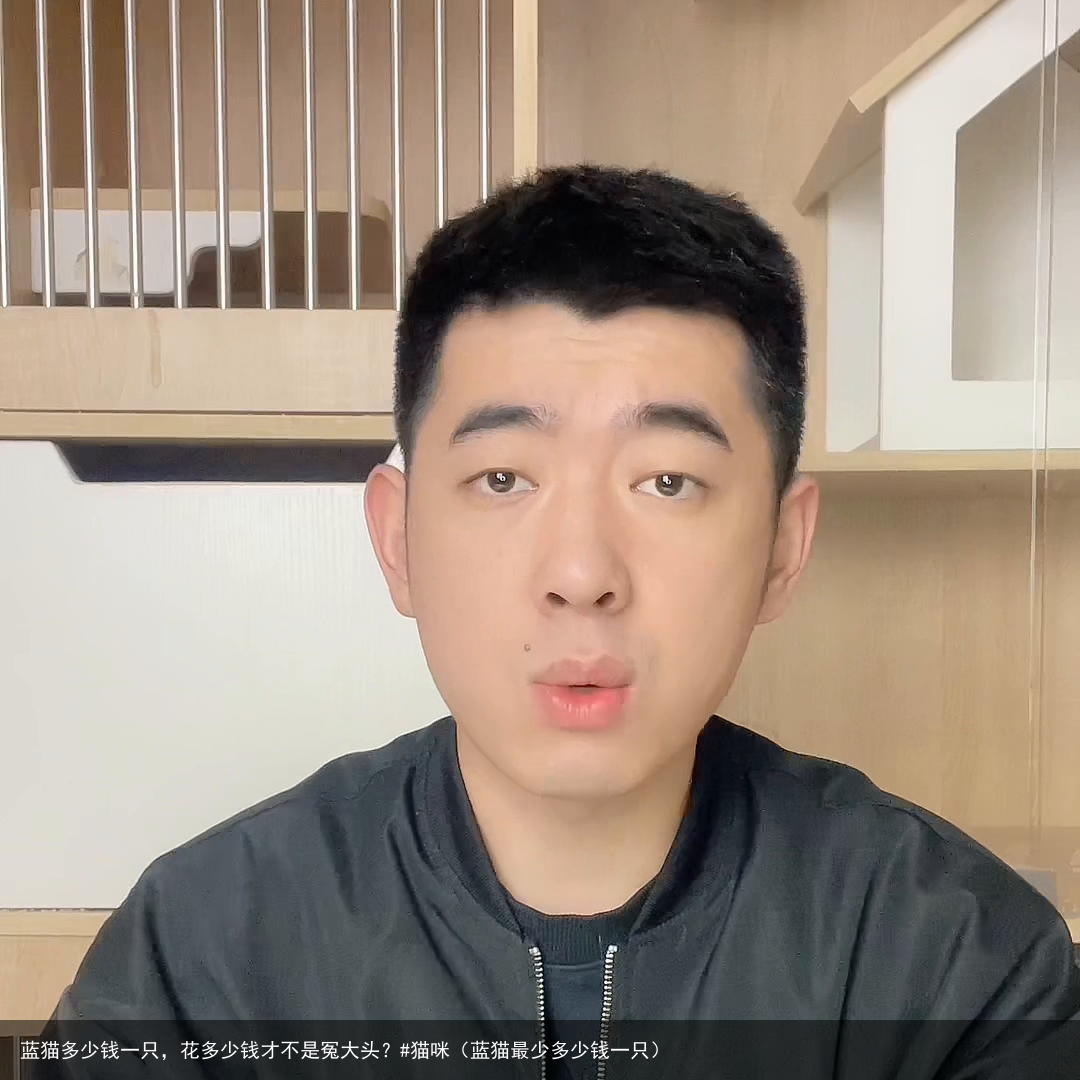 蓝猫多少钱一只，花多少钱才不是冤大头？#猫咪（蓝猫最少多少钱一只）