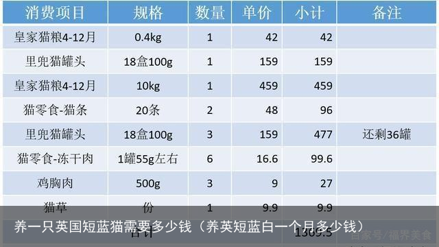 养一只英国短蓝猫需要多少钱（养英短蓝白一个月多少钱）