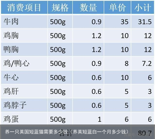 养一只英国短蓝猫需要多少钱（养英短蓝白一个月多少钱）