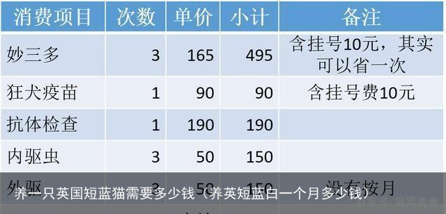 养一只英国短蓝猫需要多少钱（养英短蓝白一个月多少钱）