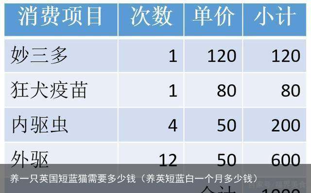 养一只英国短蓝猫需要多少钱（养英短蓝白一个月多少钱）
