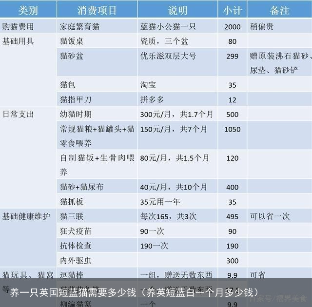 养一只英国短蓝猫需要多少钱（养英短蓝白一个月多少钱）
