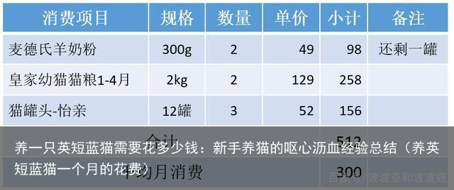 养一只英短蓝猫需要花多少钱：新手养猫的呕心沥血经验总结（养英短蓝猫一个月的花费）