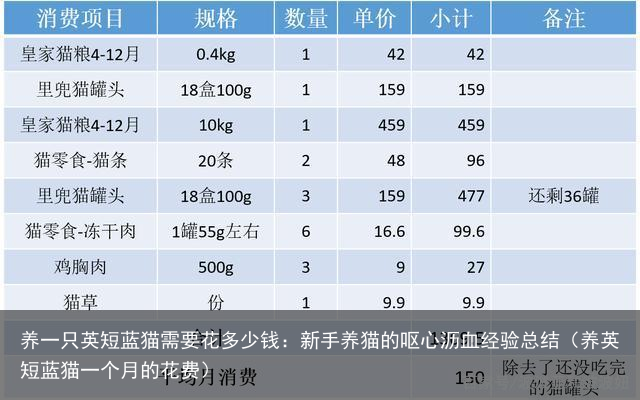 养一只英短蓝猫需要花多少钱：新手养猫的呕心沥血经验总结（养英短蓝猫一个月的花费）