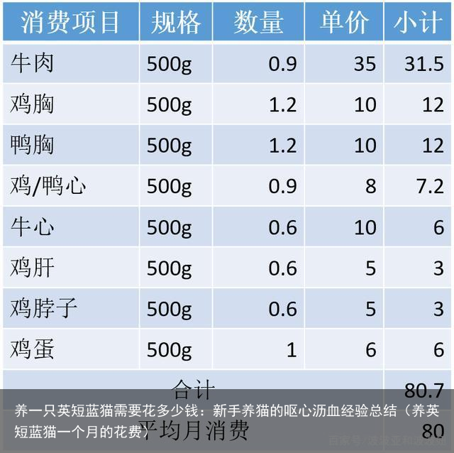 养一只英短蓝猫需要花多少钱：新手养猫的呕心沥血经验总结（养英短蓝猫一个月的花费）
