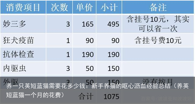 养一只英短蓝猫需要花多少钱：新手养猫的呕心沥血经验总结（养英短蓝猫一个月的花费）