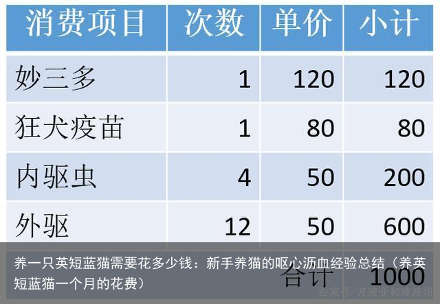 养一只英短蓝猫需要花多少钱：新手养猫的呕心沥血经验总结（养英短蓝猫一个月的花费）