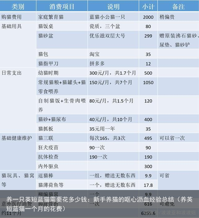 养一只英短蓝猫需要花多少钱：新手养猫的呕心沥血经验总结（养英短蓝猫一个月的花费）