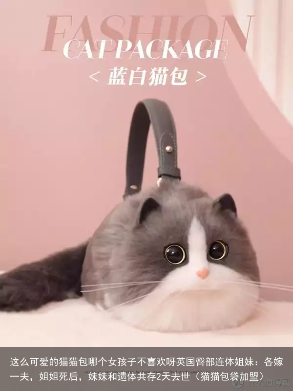 这么可爱的猫猫包哪个女孩子不喜欢呀（猫猫包袋加盟）