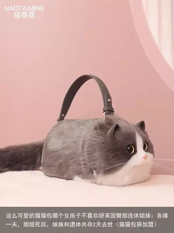 这么可爱的猫猫包哪个女孩子不喜欢呀（猫猫包袋加盟）