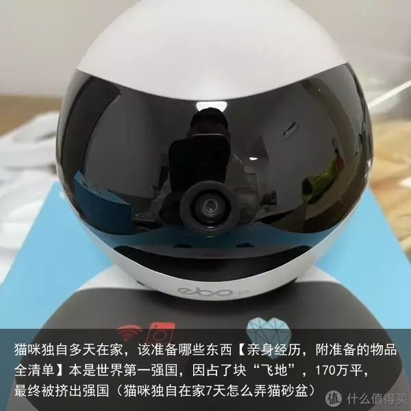 猫咪独自多天在家，该准备哪些东西【亲身经历，附准备的物品全清单】（猫咪独自在家7天怎么弄猫砂盆）