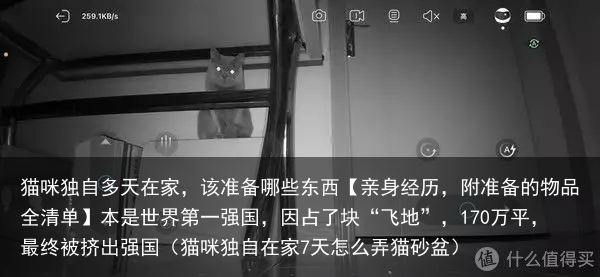 猫咪独自多天在家，该准备哪些东西【亲身经历，附准备的物品全清单】（猫咪独自在家7天怎么弄猫砂盆）