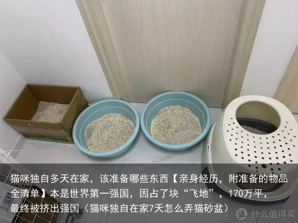 猫咪独自多天在家，该准备哪些东西【亲身经历，附准备的物品全清单】（猫咪独自在家7天怎么弄猫砂盆）