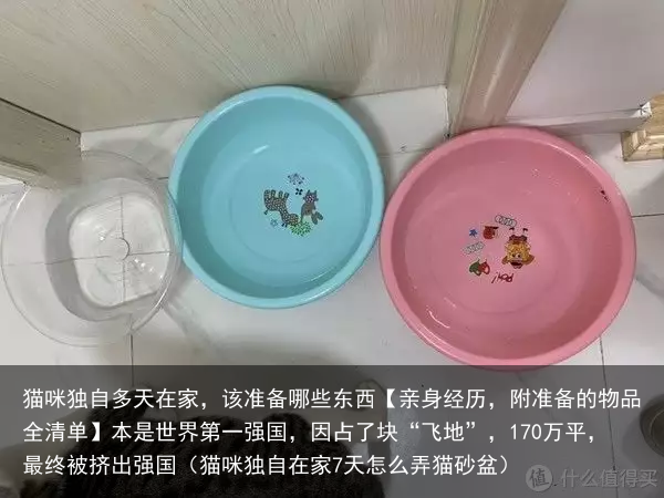 猫咪独自多天在家，该准备哪些东西【亲身经历，附准备的物品全清单】（猫咪独自在家7天怎么弄猫砂盆）