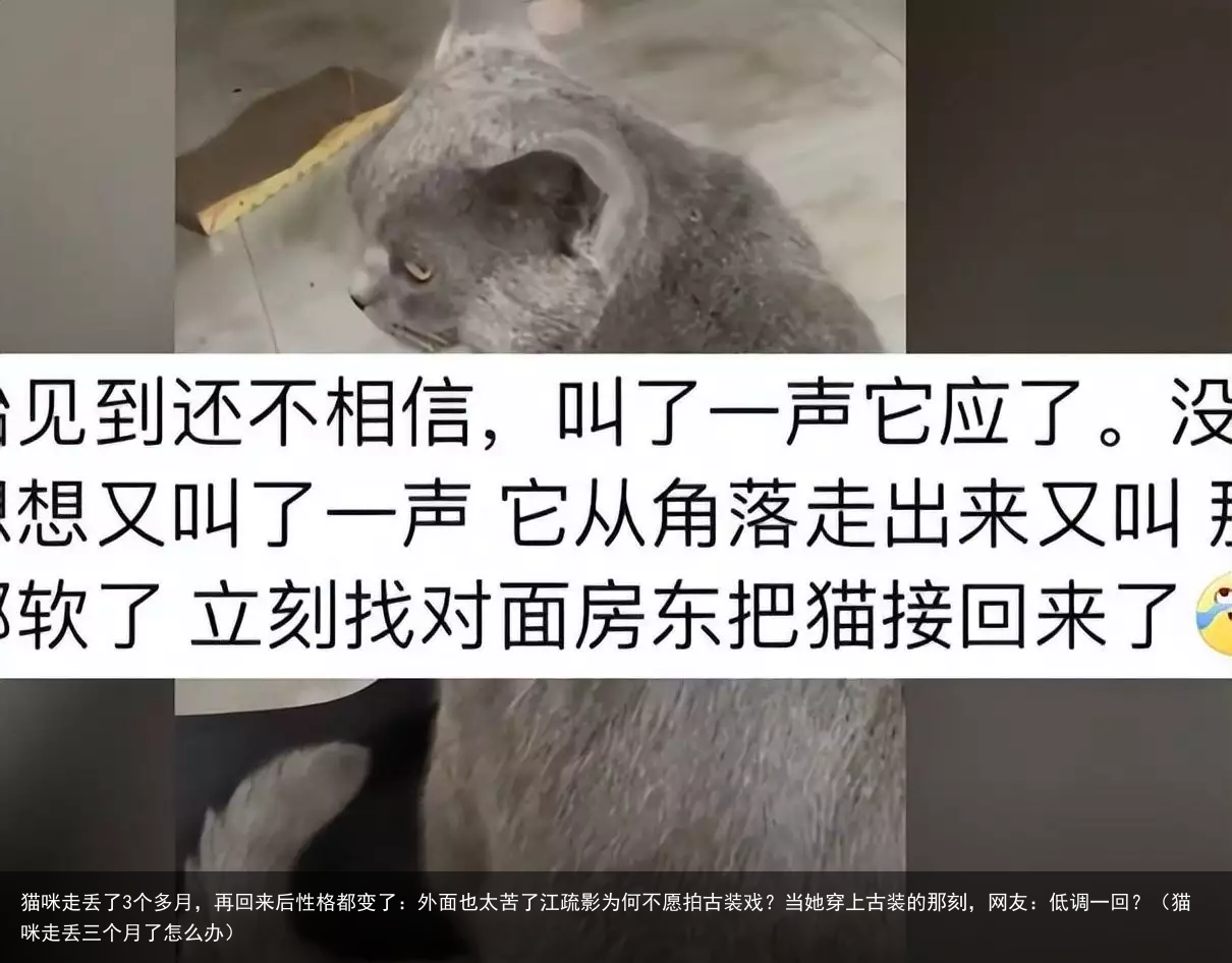 猫咪走丢了3个多月，再回来后性格都变了：外面也太苦了（猫咪走丢三个月了怎么办）