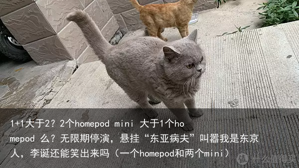 1+1大于2？2个homepod mini 大于1个homepod 么？（一个homepod和两个mini）