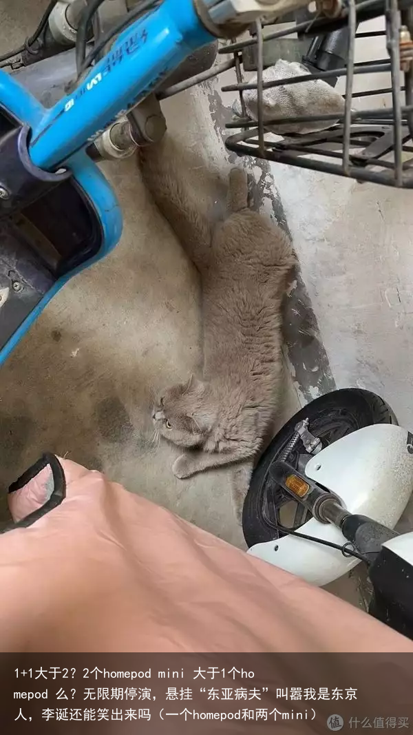 1+1大于2？2个homepod mini 大于1个homepod 么？（一个homepod和两个mini）