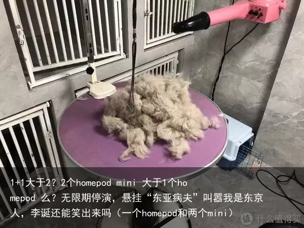 1+1大于2？2个homepod mini 大于1个homepod 么？（一个homepod和两个mini）