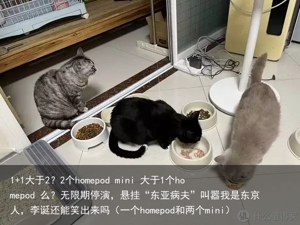 1+1大于2？2个homepod mini 大于1个homepod 么？（一个homepod和两个mini）