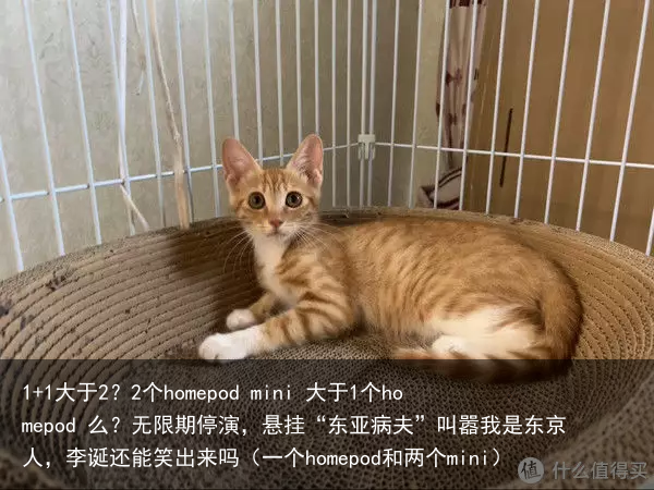 1+1大于2？2个homepod mini 大于1个homepod 么？（一个homepod和两个mini）
