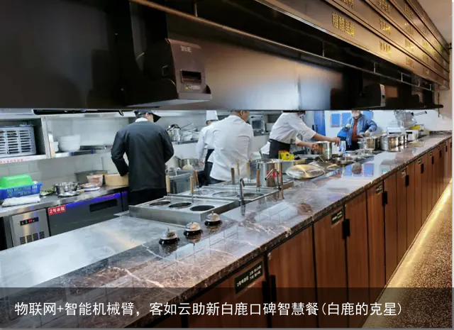 物联网+智能机械臂，客如云助新白鹿口碑智慧餐(白鹿的克星)