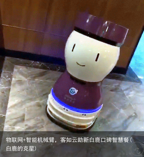 物联网+智能机械臂，客如云助新白鹿口碑智慧餐(白鹿的克星)